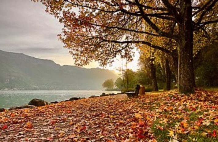autumn-menu